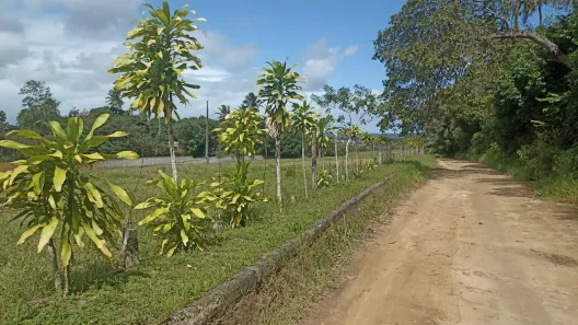 Lote/Terreno à venda, 100900m² no Jabacó, Igarassu