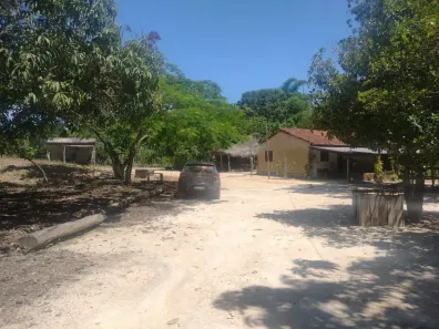 Fazenda/Sítio com 3 Quartos à venda, 200m² no Taveira, Niquelândia