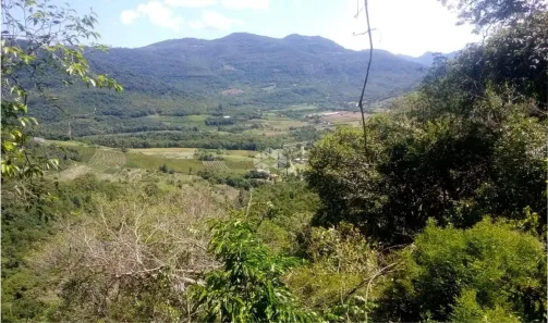 Fazenda/Sítio à venda, 32500m² no , Nova Petrópolis