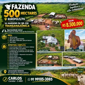Fazenda/Sítio com 3 Quartos à venda, 5000000m² no Rurópolis, Rurópolis