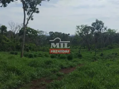 Fazenda/Sítio à venda, 500m² no , Dois Irmãos do Tocantins