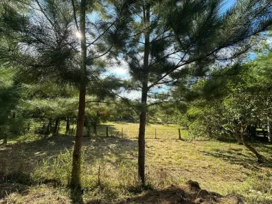Lote/Terreno à venda, 2000m² no Fiuza, Viamão