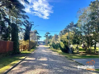 Fazenda/Sítio com 1 Quarto à venda, 4140m² no Borda do Campo, São José dos Pinhais