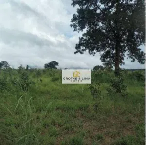 Fazenda/Sítio com 10 Quartos à venda, 1000m² no , Montividiu