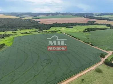 Fazenda/Sítio à venda, 500m² no , Ipameri
