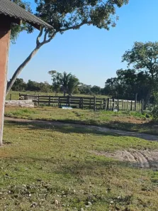 com 3 Quartos à venda, 180m² no , Nossa Senhora do Livramento