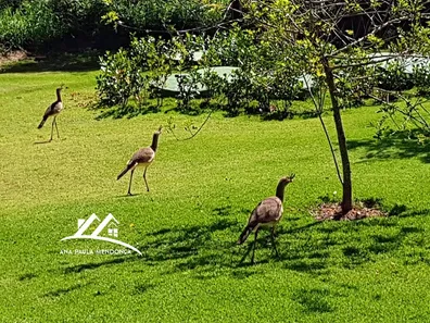 Lote/Terreno à venda, 1000m² no , Brumadinho