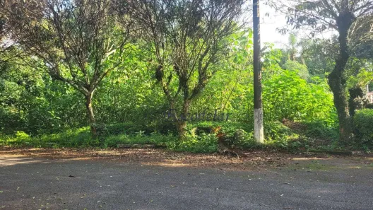 Lote/Terreno à venda, 1054m² no Cumbari, Mairiporã