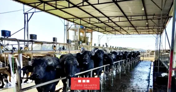 Fazenda/Sítio à venda, 12221000m² no , Iguape