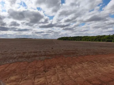 Fazenda/Sítio com 5 Quartos à venda, 124m² no Área Rural de Piracanjuba, Piracanjuba