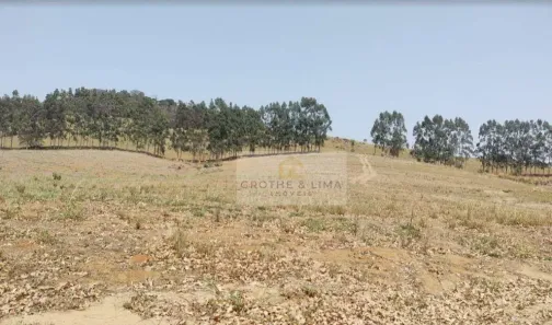 Fazenda/Sítio à venda, 900m² no Centro, São Sebastião da Grama