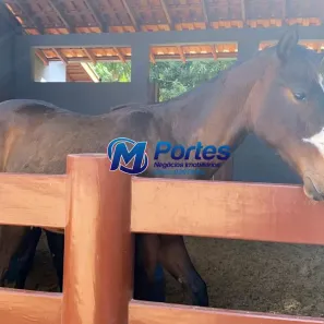 com 5 Quartos à venda, 338m² no , Monte Aprazível