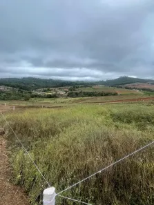 Lote/Terreno à venda, 500m² no Jardim Japão (Caucaia do Alto), Cotia