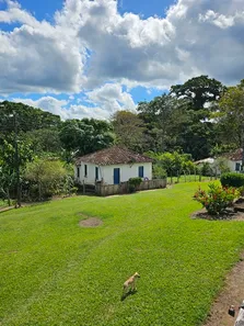 Fazenda/Sítio à venda, 136m² no Centro, Itajuípe