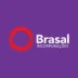 Miniatura da foto de Spe10 - Brasal Incorporações