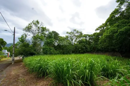Lote/Terreno à venda, 450m² no Campeche, Florianópolis