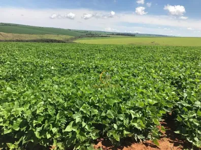 Fazenda/Sítio com 6 Quartos à venda, 50500000m² no Área Rural de Uberlândia, Uberlândia