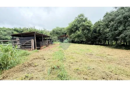 Lote/Terreno à venda, 2975m² no Pinhal, Cabreúva