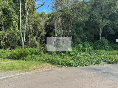 Lote/Terreno à venda, 10725m² no Centro, Campo Alegre