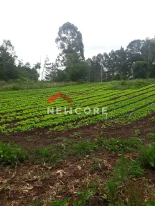 Lote/Terreno à venda, 15m² no Centro, São Francisco de Paula