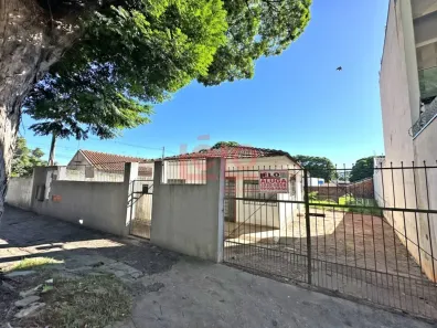 Casa com 1 Quarto para alugar, 40m² no Vila Morangueira, Maringá
