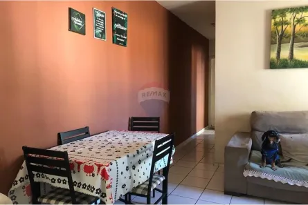 Apartamento com 2 Quartos à venda, 54m² no Conjunto Residencial Galo Branco, São José dos Campos
