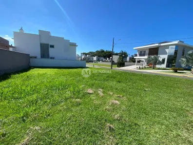 Lote/Terreno à venda, 386m² no Santa Regina, Camboriú