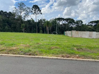 Lote/Terreno à venda, 366m² no Contorno, Ponta Grossa