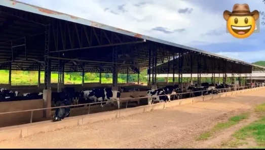 Fazenda/Sítio com 7 Quartos à venda, 30m² no , Mairipotaba