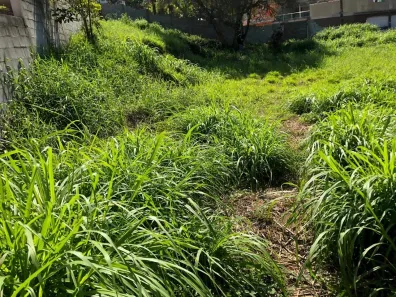 Lote/Terreno à venda, 545m² no Santa Luzia, Ribeirão Pires