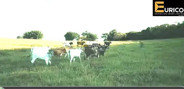 Fazenda/Sítio com 1 Quarto à venda, 800000m² no Bairro do Aterrado, São Sebastião do Rio Verde