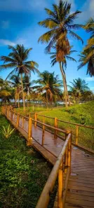 Lote/Terreno à venda, 247m² no Zona de Expansão (Olhos D'Agua), Barra dos Coqueiros