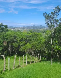 Lote/Terreno à venda, 14061m² no Ressacada, Garopaba
