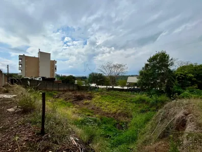 Lote/Terreno para alugar, 1000m² no Jardim Emília, Ribeirão Preto