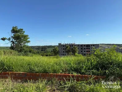 Lote/Terreno à venda, 10m² no Alto das Grevíleas, Maringá