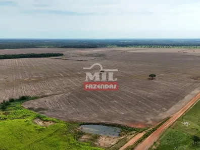 Fazenda/Sítio à venda, 500m² no , Pium