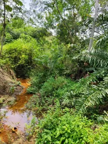Fazenda/Sítio com 3 Quartos à venda, 112000m² no , Vera Cruz