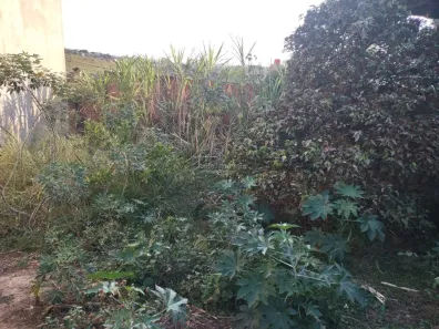 Lote/Terreno à venda, 250m² no Jardim Paulista, Monte Mor
