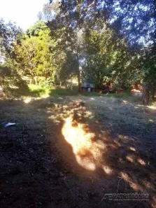 Imóvel Comercial com 1 Quarto à venda, 200m² no Aparecidinha, Sorocaba