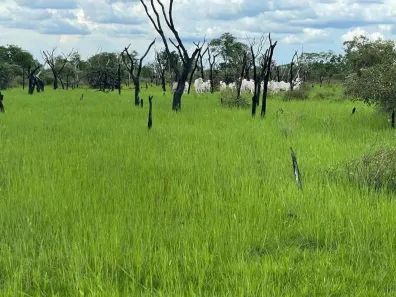 Fazenda/Sítio com 4 Quartos à venda, 215m² no Centro, Cocalinho