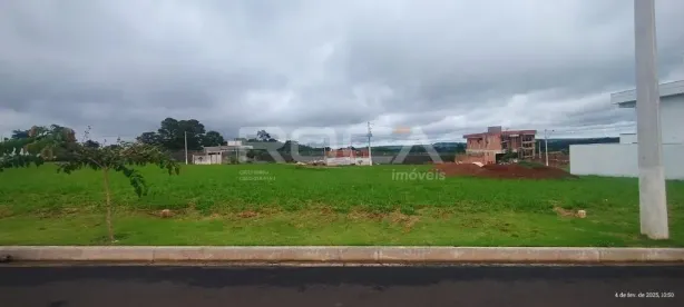 Lote/Terreno à venda, 250m² no Residencial Samambaia, São Carlos