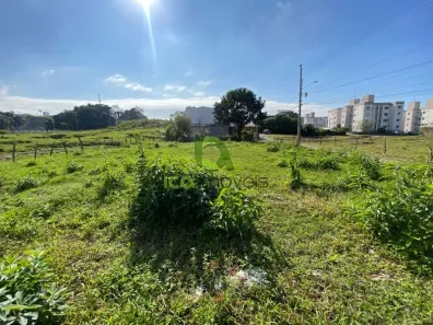 Lote/Terreno para alugar, 693m² no Serraria, São José