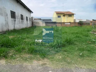 Lote/Terreno à venda, 300m² no Parque Santa Felícia Jardim, São Carlos