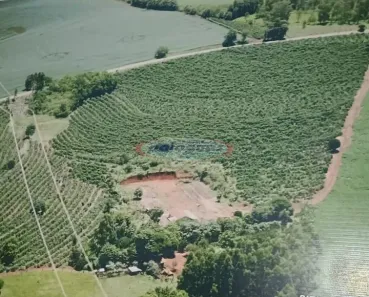 Fazenda/Sítio à venda, 3m² no , Jardim Alegre