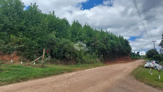 Fazenda/Sítio à venda, 10000m² no , Garibaldi