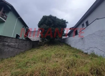 Lote/Terreno à venda, 320m² no Jardim Leonor Mendes de Barros, São Paulo