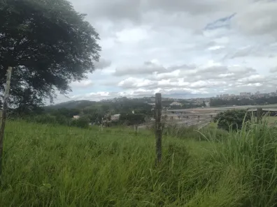 Lote/Terreno para alugar, 4000m² no Parque Edu Chaves, São Paulo