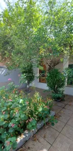 Casa com 3 Quartos à venda, 181m² no Jardim Leocádia, Sorocaba