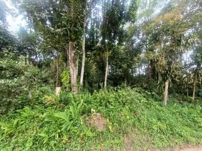 Lote/Terreno à venda, 3589m² no Jardim Coronel, Itanhaém
