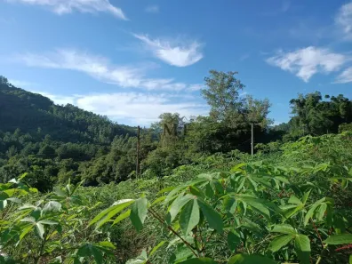 Lote/Terreno à venda, 495m² no Joaneta, Picada Café